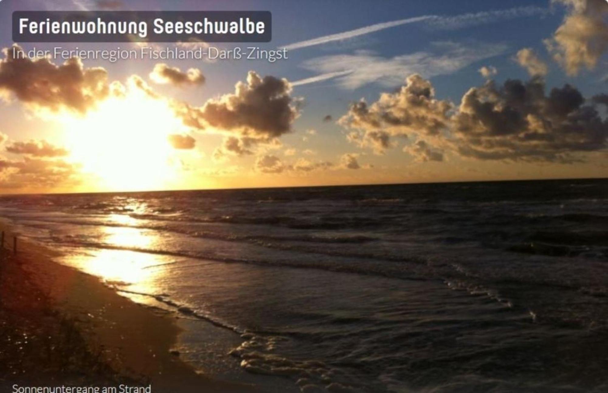 Seeschwalbe App 34 Neuhaus  Exterior foto